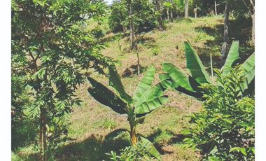 VENDO Lote en Pandi Cundinamarca Cerca al Boquerón