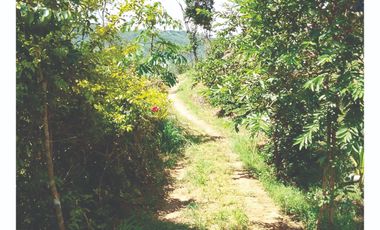VENDO Lote en Pandi Cundinamarca Cerca al Boquerón