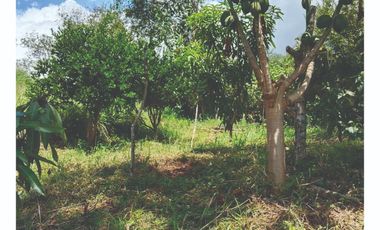 VENDO Lote en Pandi Cundinamarca Cerca al Boquerón