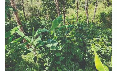 VENDO Lote en Pandi Cundinamarca Cerca al Boquerón