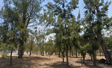 Inversión Segura y Rentable en Bienes Raíces!