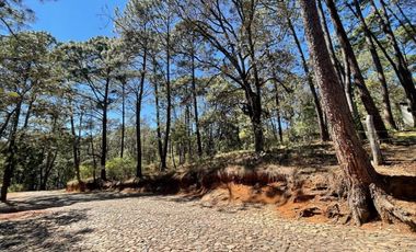 Terreno en Los Cazos en Mazamitla