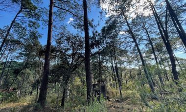 Terreno en Los Cazos en Mazamitla