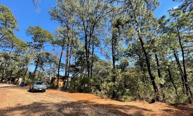 Terreno en Los Cazos en Mazamitla