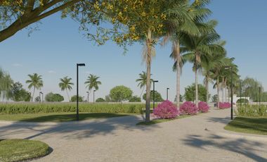 Terreno residencial con servicios y escritura en Puerto Escondido