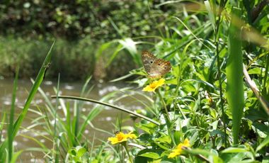 Terreno residencial con servicios y escritura en Puerto Escondido