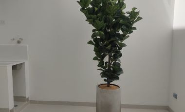 Vente de casa san antonio de pereira