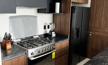 DEPTO EN RENTA AMUEBLADO EN PROVIDENCIA