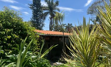 Jardines de Delicias, avenida san diego