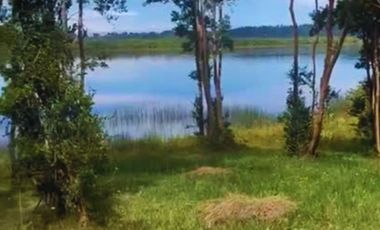 ¡Oportunidad única! Parcela Borde Río en Condominio consolidado en el Sur de Chile