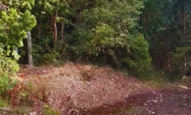 ¡Oportunidad única! Parcela Borde Río en Condominio consolidado en el Sur de Chile