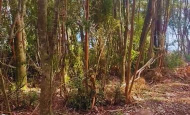 ¡Oportunidad única! Parcela Borde Río en Condominio consolidado en el Sur de Chile