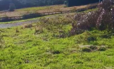 ¡Oportunidad única! Parcela Borde Río en Condominio consolidado en el Sur de Chile