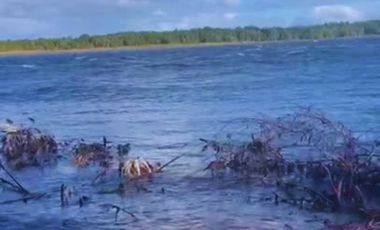 ¡Oportunidad única! Parcela Borde Río en Condominio consolidado en el Sur de Chile