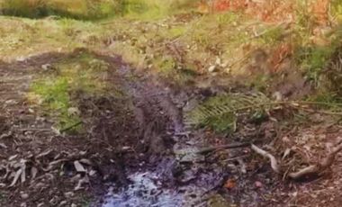 ¡Oportunidad única! Parcela Borde Río en Condominio consolidado en el Sur de Chile