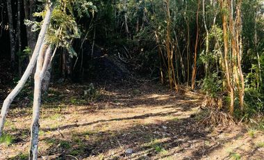 ¡Oportunidad única! Parcela Borde Río en Condominio consolidado en el Sur de Chile