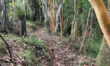 ¡Oportunidad única! Parcela Borde Río en Condominio consolidado en el Sur de Chile