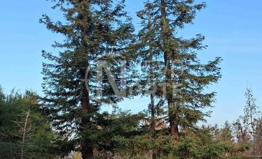 EXCELENTE TERRENO EN AGRADABLE ENTORNO CAMPESTRE CONSOLIDADO