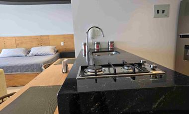 ATLIXCAYOTL BOUDICA TEC DE MONTERREY IBERO ANGELOPOLIS DEPARTAMENTO LOFT ESTUDIANTE EJECUTIVO