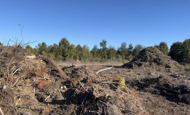 Se Vende Parcela en Puerto Varas / Camino a Río Frío