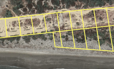 Terrenos al pie del mar en Palmar