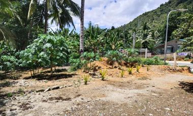 PRIME HIGHWAY LOT FOR SALE