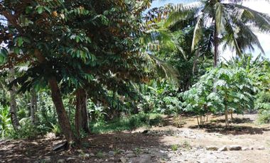 PRIME HIGHWAY LOT FOR SALE