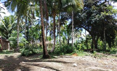 PRIME HIGHWAY LOT FOR SALE