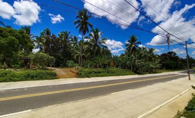 PRIME HIGHWAY LOT FOR SALE