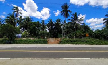 PRIME HIGHWAY LOT FOR SALE