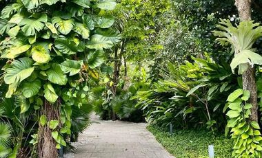 2-Bedroom Corner Beachfront Condo – Tambuli Seaside Living, Mactan Island, Cebu