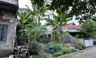 Karangan Jaya Dekat UNESA Surabaya