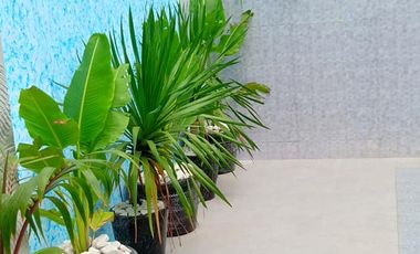 4 UNIT TOWNHOUSE FOR RENT IN KOREANTOWN