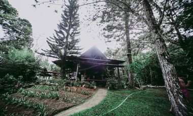 20m  Buda Resort for Sale Your Dream Getaway Awaits