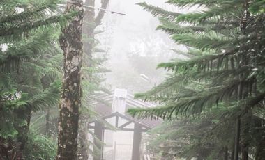 20m  Buda Resort for Sale Your Dream Getaway Awaits