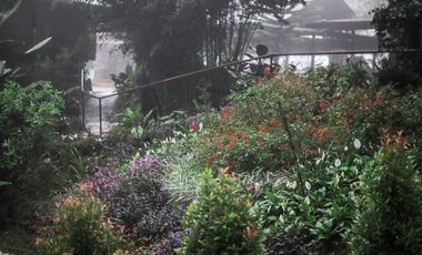 20m  Buda Resort for Sale Your Dream Getaway Awaits