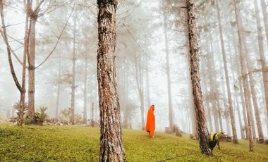 20m  Buda Resort for Sale Your Dream Getaway Awaits