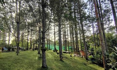 20m  Buda Resort for Sale Your Dream Getaway Awaits