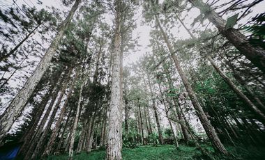 20m  Buda Resort for Sale Your Dream Getaway Awaits