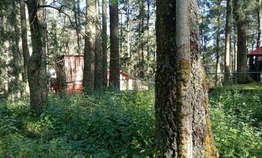 SE VENDE TERRENO, PUEBLO NUEVO