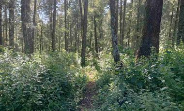 SE VENDE TERRENO, PUEBLO NUEVO