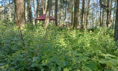 SE VENDE TERRENO, PUEBLO NUEVO