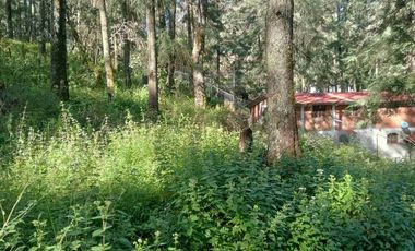 SE VENDE TERRENO, PUEBLO NUEVO