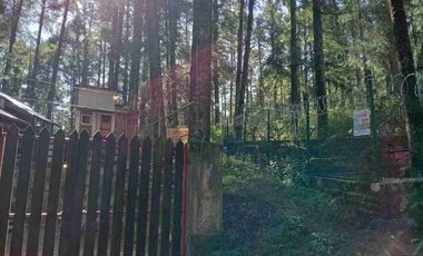 SE VENDE TERRENO, PUEBLO NUEVO