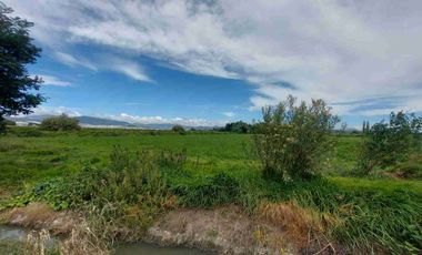 TERRENO EN VENTA, LAS TORRES