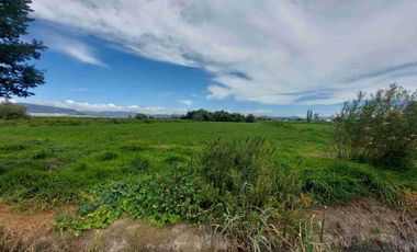 TERRENO EN VENTA, LAS TORRES