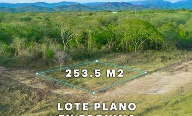 TERRENO EN AGUA BLANCA