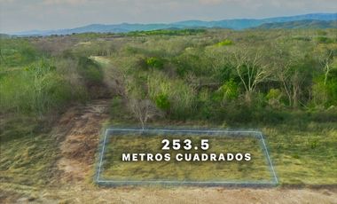 TERRENO EN AGUA BLANCA