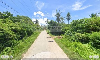 Residential Lot For Sale near Beach located in Bil-isan, Panglao, Bohol
