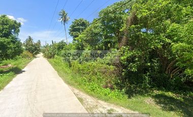 Residential Lot For Sale near Beach located in Bil-isan, Panglao, Bohol
